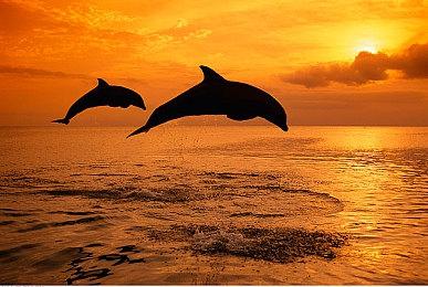 节奏游戏新作《Scratchin’ Melodii》公开新预告